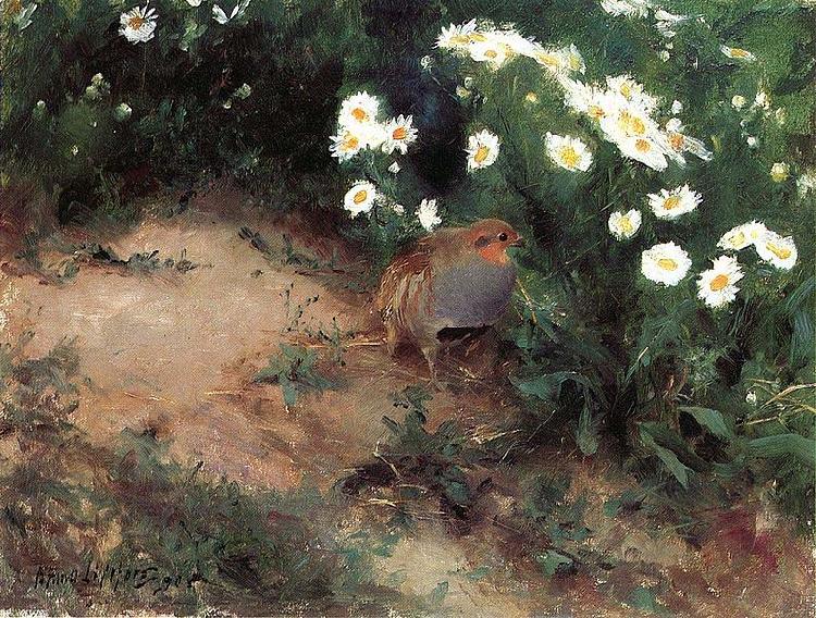 bruno liljefors Partridge with Daisies oil painting picture